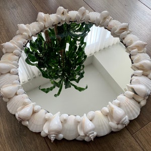 Seashell Mirror “Bella  Mirror”All Natural White and Rare Sea ShellS Pecten Canary Moon Shells Nautical Coastal Beach Home Decor Wall Mirror