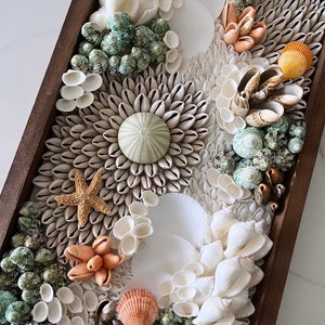 May include: A framed seashell artwork featuring an assortment of shells arranged in a decorative pattern. The piece showcases a large, white seashell at its centre, encircled by smaller shells in hues of white, beige, and brown. A few green and orange shells are also dispersed throughout the artwork.