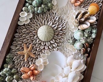 May include: A framed seashell art piece with a variety of shells arranged in a decorative pattern. The piece features a large, white seashell in the center, surrounded by smaller shells in shades of white, beige, and brown. There are also a few green and orange shells scattered throughout the piece.