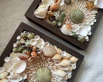 May include: Two square framed wall art pieces with a variety of seashells arranged in a decorative pattern. The shells are in shades of white, brown, and beige, with a few green and orange shells. The frames are dark brown wood.