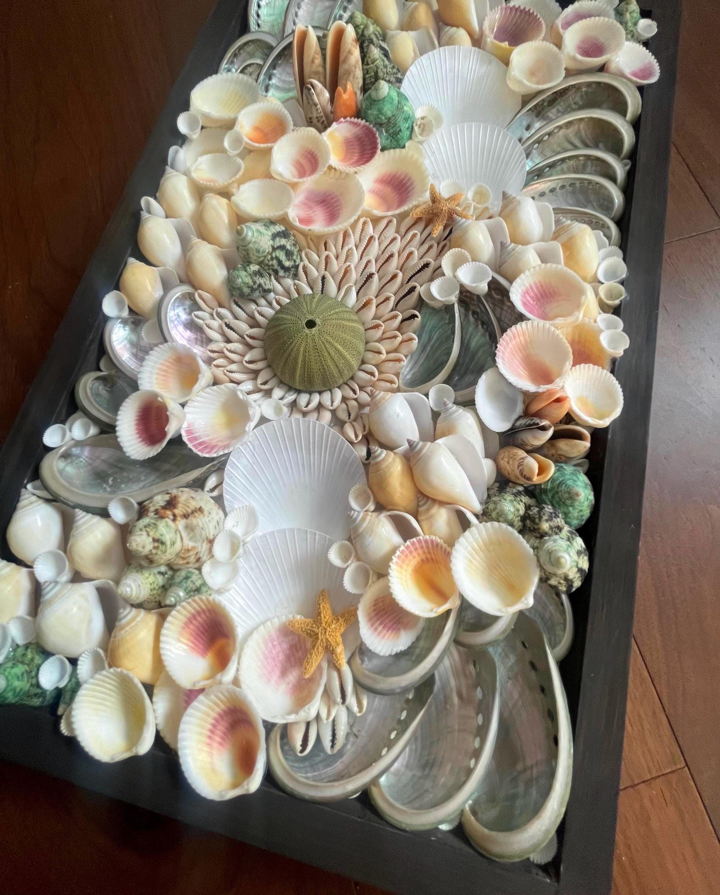 Framed Seashell Wall Mosaic Natural Sea Shells Coastal Nautical Wall Art Deep Sea CORAL REEF Mural Beach Starfish Urchin Mermaid Sea Ocean