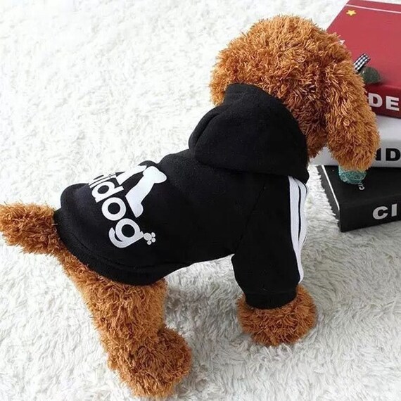 adidog sweatshirt