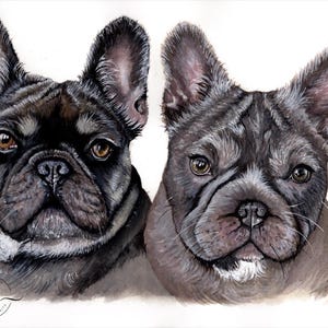 Custom watercolour, Pet Portrait, Personalised pet portrait, hand drawn, Pet Memorial, watercolour pet portrait, Pet painting, pet picture