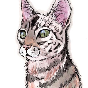 Custom Mini A6 Pet Portrait, Personalised pet portrait, hand drawn Pet Portrait, Pet Memorial, watercolour pet portrait, Pet painting,