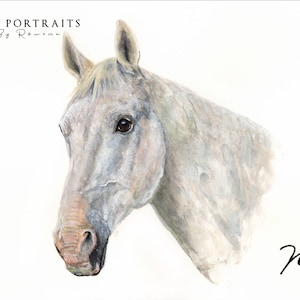 Custom watercolour, Pet Portrait, Personalised pet portrait, hand drawn, Pet Memorial, watercolour pet portrait, Pet painting, pet picture