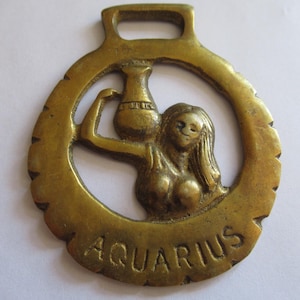 Vintage Horse Brass Zodiac Aquarius January 20th-February 18th  Pagan