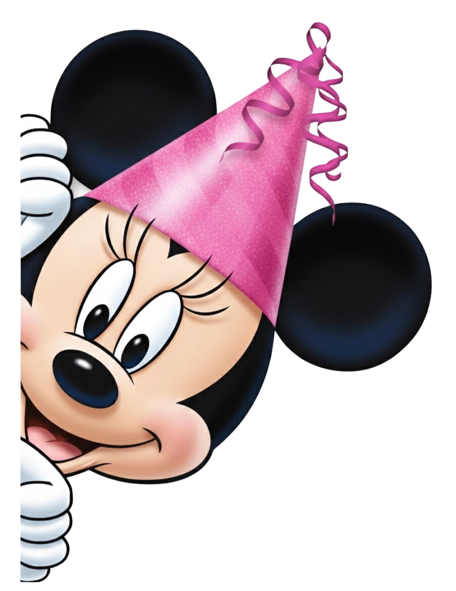ディズニークルーズ船ドアバースデーマグネット – ミッキー、ミニー