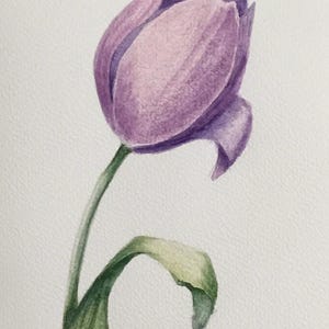 carte originale d'art aquarelle | Style vintage peint à la main | Tulipe violette | 5 x 8 pouces/12,5 x 20 cm Livraison gratuite