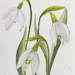 carte originale d'art aquarelle | Style vintage peint à la main | Perce-neige | 5 x 8 pouces/12,5 x 20 cm Livraison gratuite