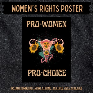 Women&#39;s Reproductive Right&#39;s Poster, Protest Poster, Vasectomy Promotion, Posters For Women&#39;s Rights, Feminism Activist Poster, Human Rights