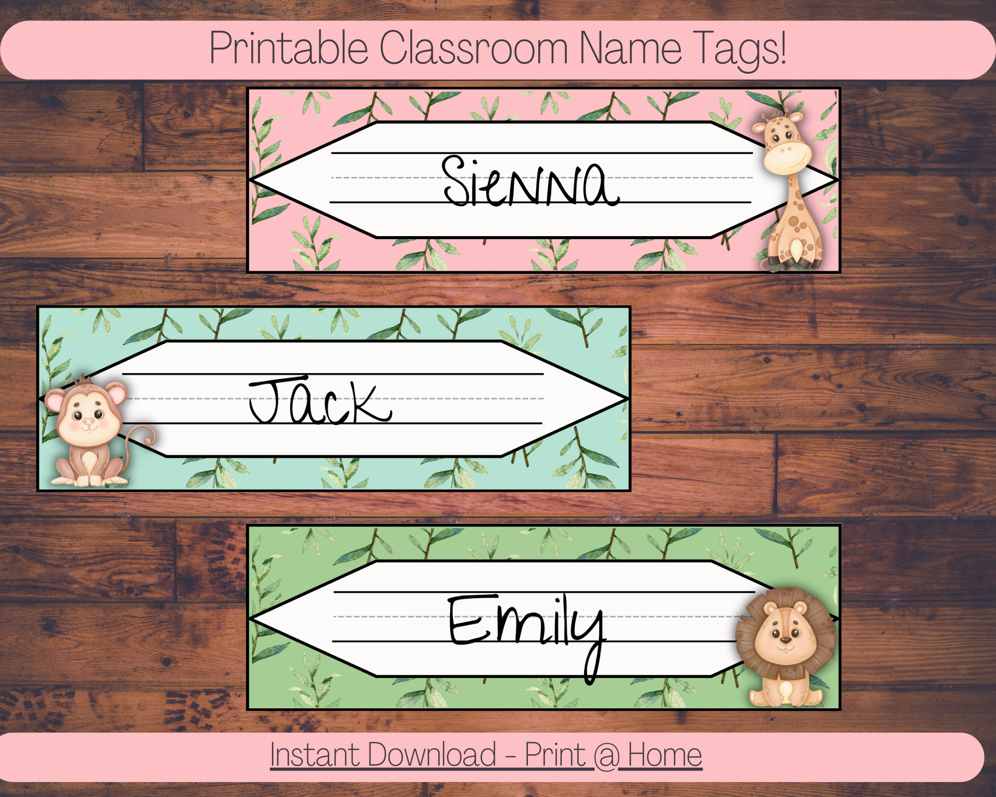 Desk Name Labels, Classroom Name Labels, Cubby Label, Name Tags, Back