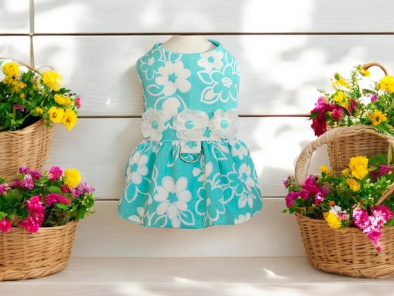 Mint Green Dog Harness Dress