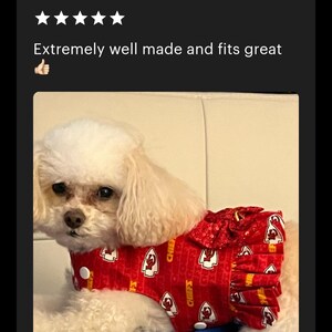 May include: A white dog wearing a red and gold Kansas City Chiefs dog dress with a ruffled bottom. The dress has the team logo and the word "Chiefs" repeated on it.
