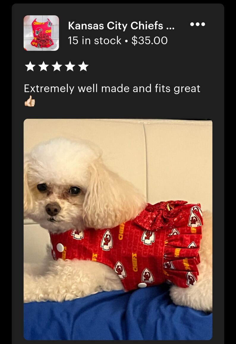 May include: A white dog wearing a red and gold Kansas City Chiefs dog dress with a ruffled bottom. The dress has the team logo and the word "Chiefs" repeated on it.