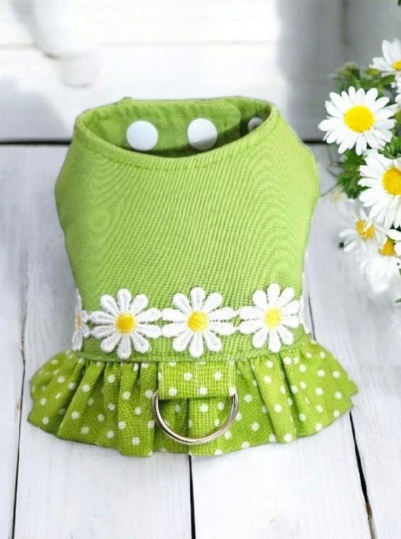 Daisy Dog Harness Ruffle, Green and White Polka Dot Dog Harness