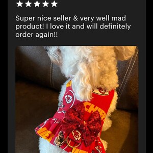 May include: A white dog wearing a red and yellow Kansas City Chiefs dog harness with a red sequined bow. The harness has the team logo and the word "Chiefs" printed on it.