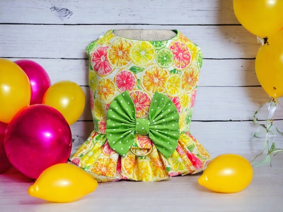 Summertime Lemon Lime Harness Ruffle, Summer Dog Harness Ruffle