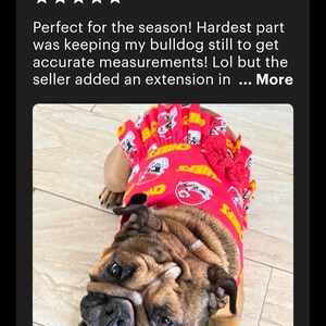 May include: A bulldog wearing a red and yellow Kansas City Chiefs dog dress. The dress has a ruffled neckline and a bow.