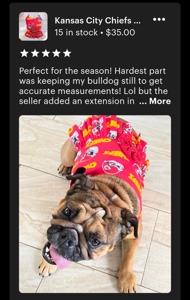 May include: A bulldog wearing a red and yellow Kansas City Chiefs dog dress. The dress has a ruffled neckline and a bow.