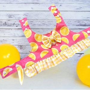 May include: Pink dog harness with a lemon print and yellow and white gingham trim. A bow is attached to the harness.