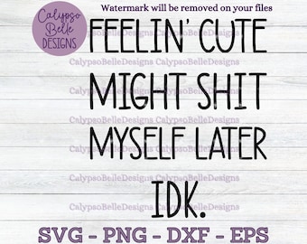 Feelin Cute zou mezelf later kunnen schijten SVG/grappige baby SVG/grappige peuter/baby gezegden/baby citaten SVG, PNG, EPS, cut-bestand