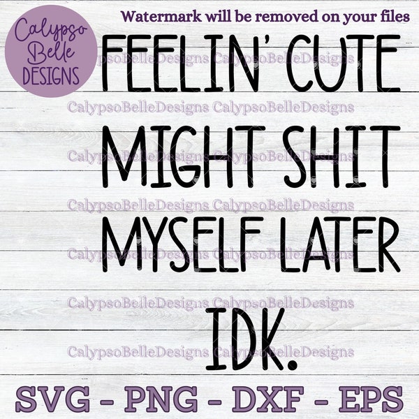 Feelin Cute Might Shit Myself Later svg / Funny Baby SVG / Funny Toddler / Baby Sayings / Baby Quotes SVG, PNG, eps, Cut File