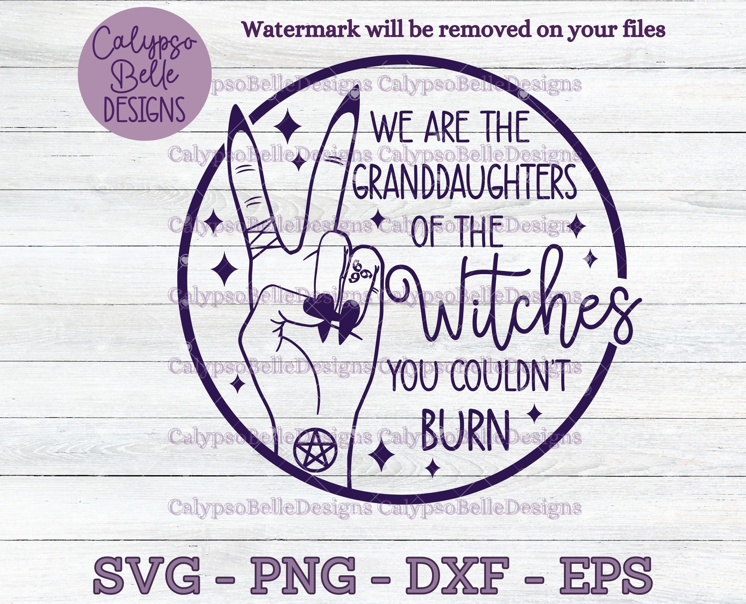 SIGNCHAT Targa in metallo con scritta Cat We Are The Granddaughters Of The Witches You Couldnt Burn, divertente decorazione da parete, 20 x 30 cm