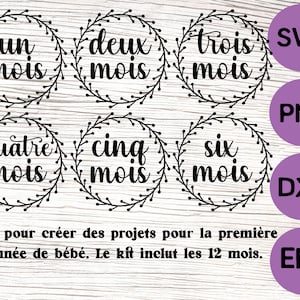 Baby Meilensteine svg / Französische Monats meilensteine / Première année de bébé 1 à 12 mois svg / Bébé français SVG, PNG, EPS, Plotterdatei
