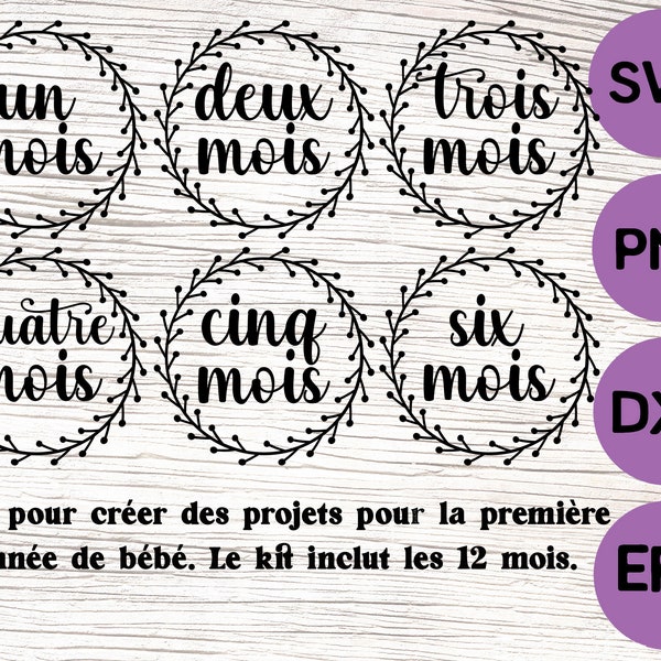 Baby Milestones svg / French Monthly milestones /  Première année de bébé 1 à 12 mois svg / Bébé français  SVG, PNG, EPS, Cut File