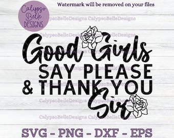 Good Girls Say Please and Thank You Sir / STFUATTDLAGG svg / Romance Smut book svg / Good Girl svg / Dom svg / Sub svg / Smut reader SVG PNG