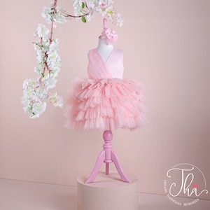 Light Pink Baby Premium Dress, Baby Girl Dress Special Occasion, First Birthday Dress, Tutu Dress for Girls, Handmade Luxury Toddler Dress