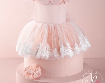 Pink Lace Princess Dress: Silvery Tulle, Feather Sleeves, Birthday Outfit