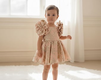 Gold Brocade Birthday Dress for Girls, Handmade Princess Party Gown for 1st Birthday, Cake Smash and Photoshoots, Toddler Flower Girl