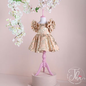 3D Flower Fairy Dress, Gold Flower Design Dress, Princess Prom Dress, Toddler Dress for Special Occasion,Handmade Dress Special Occasion