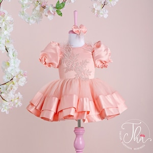 Pink and White Birthday Dress for Girls – Elegant Toddler Tulle Party Dress with Satin, Embroidery, and Feather Sleeves