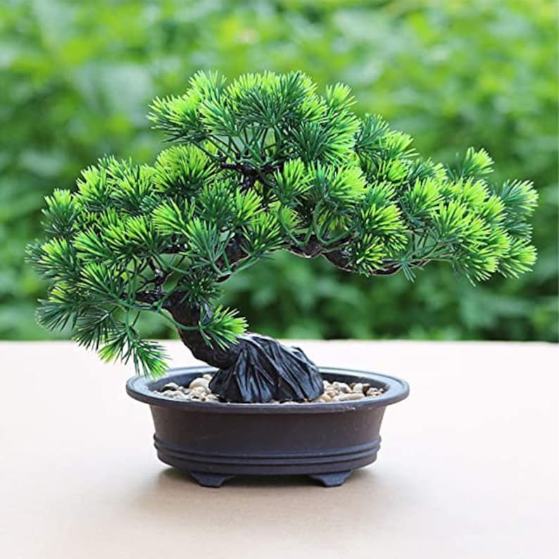 Artificial Japanese Juniper Bonsai Tree Height 11 for Etsy