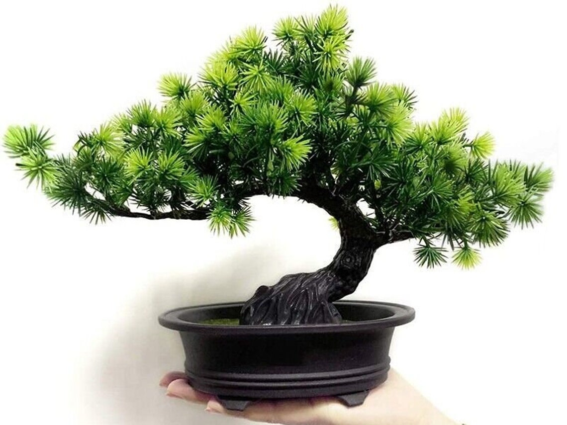 Artificial Japanese Juniper Bonsai Tree Height 11 for Etsy