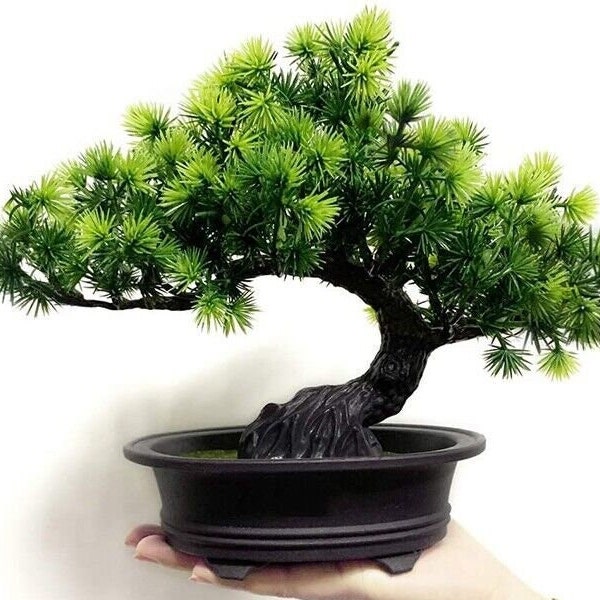 Artificial Japanese Juniper Bonsai Tree Height 11" for Home Office Indoor Decor