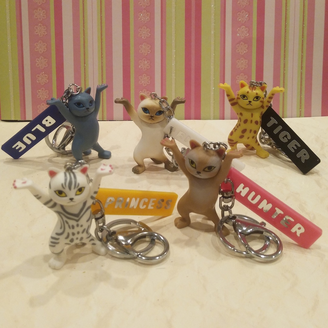 Personalized Funny Cat Keychain Custom Name Cat Keychain Etsy