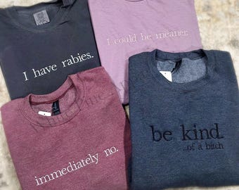 Snarky Embroidery Shirts | Immediately No | Rabies Tee | Kind of a B*tch | Could be meaner | Funny Shirts | Embroidery Apparel