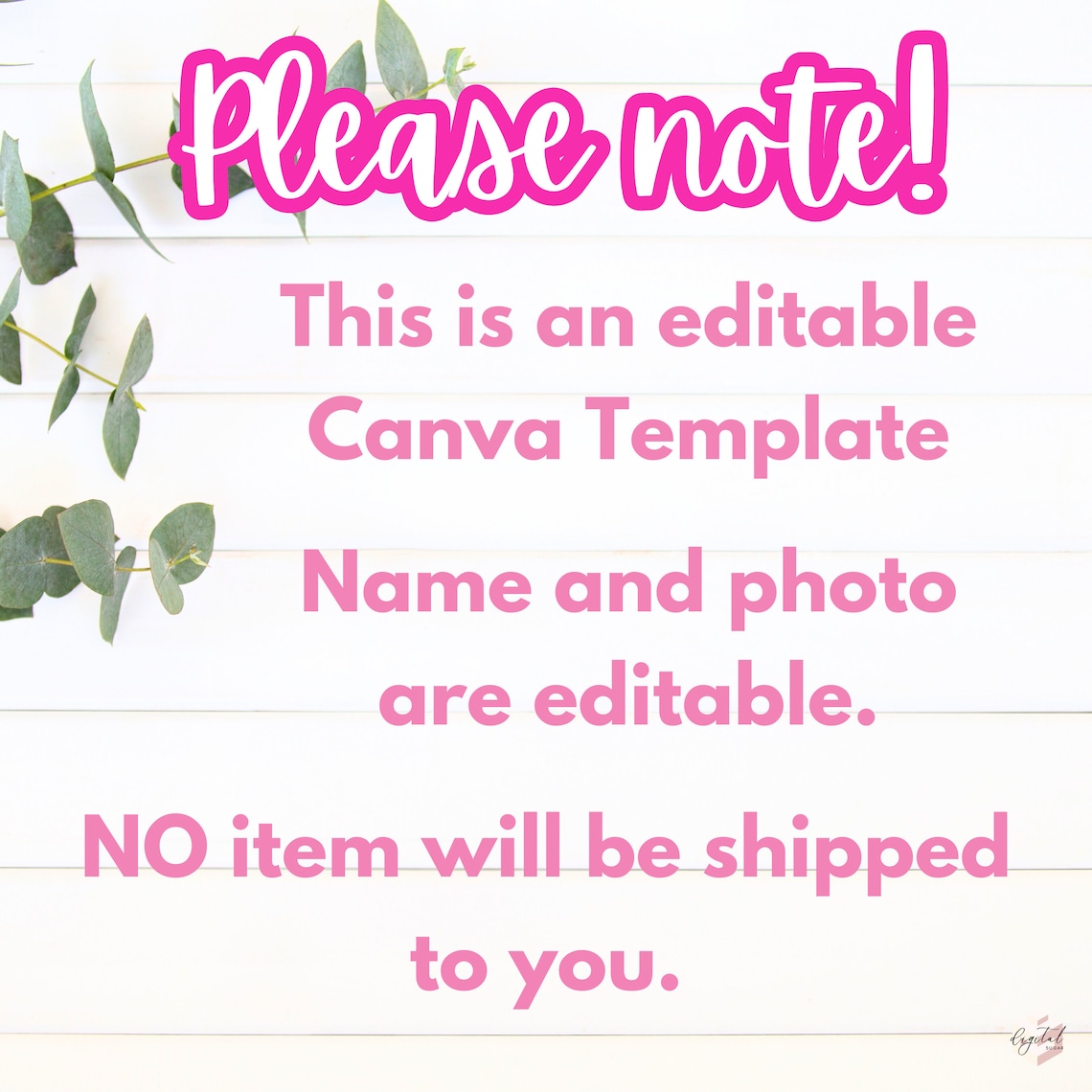 Ms Rachel Banner, Ms Rachel Birthday Party Decorations, Ms Rachel Party ...