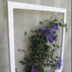 May include: White metal frame with a trellis design and a climbing plant with purple flowers growing inside. The frame is mounted on a wall.