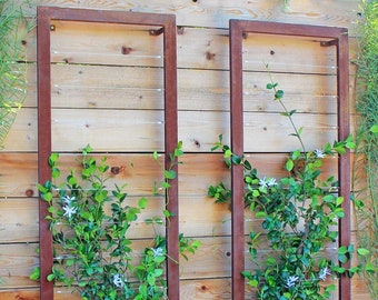 Modern Steel Wall Trellis - Large