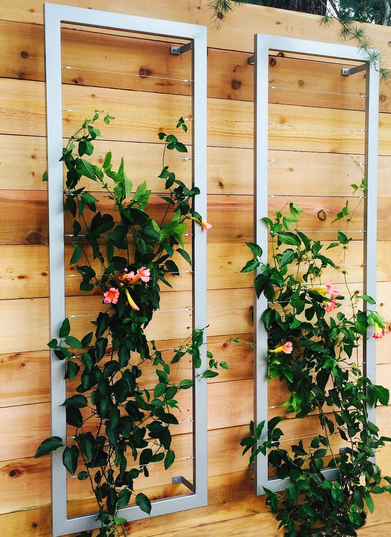 May include: Two silver metal frames with wire mesh are mounted on a wooden wall. Vines with pink flowers grow up the mesh.