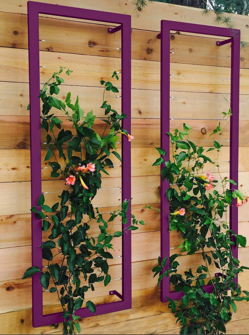 May include: Two vertical garden trellises made of metal with a dark purple finish. Each trellis has a series of horizontal wires for climbing plants. The trellises are mounted on a wooden wall and are covered in green vines with pink flowers.