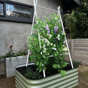 May include: A green metal raised garden bed with a white trellis and a variety of flowering plants growing inside. The plants are climbing up the trellis and have white and purple flowers.