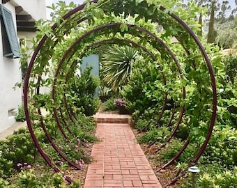 Gracie Sculptural Steel Moon Gate Arbor – Modern Garden Arch Trellis (Large)