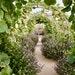 TERRA TRELLIS modern garden trellis