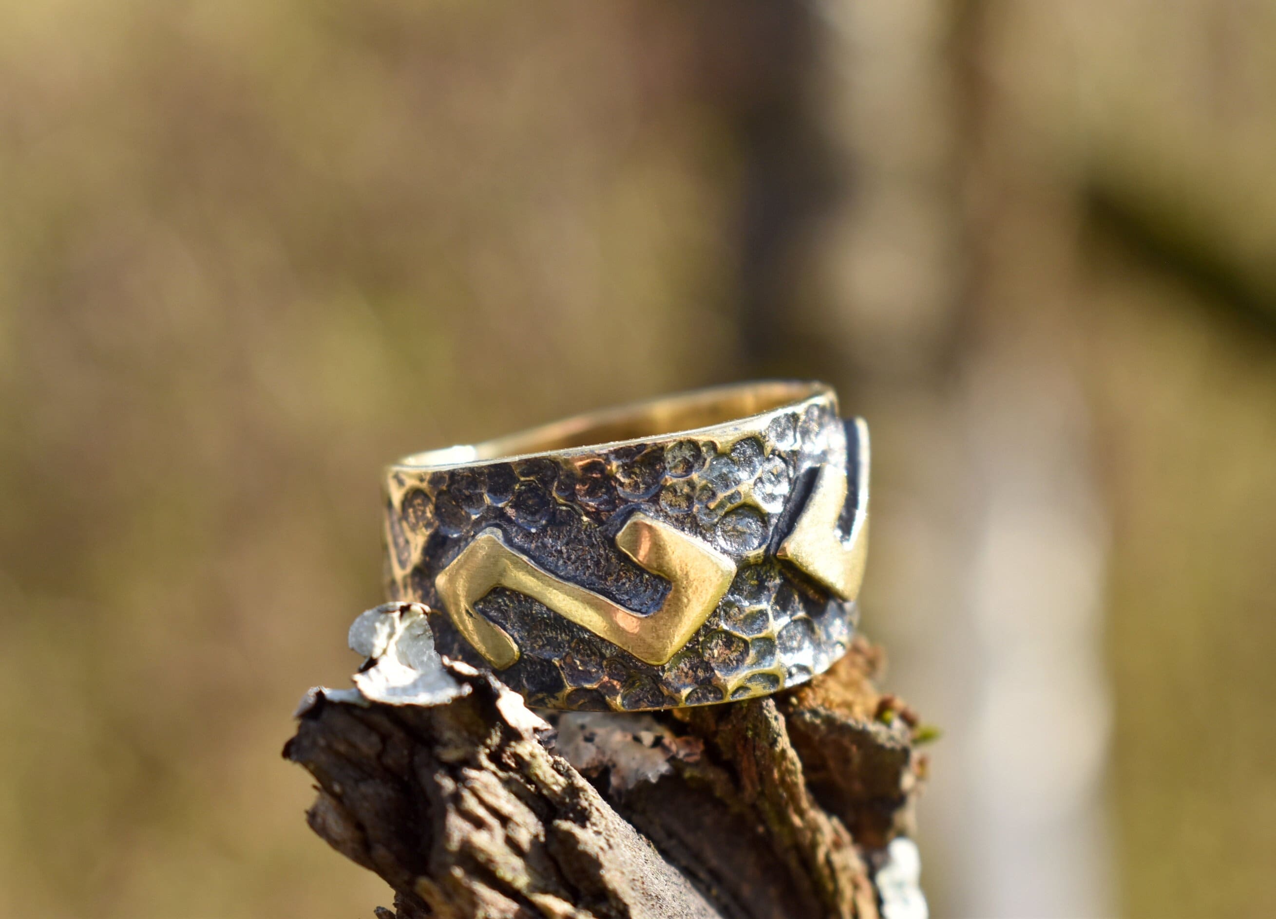 Latvian Rune Ring in Bronze or Sterling Silver, Witchy Shield Ring for Her,  Norse Pagan Jewelry, Baltic Grass Snake Symbol