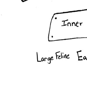 May include: Hand drawn illustration of a large feline, possibly a cat or a lion, with the words "Large Feline" and "Inner" written below. The drawing is in black ink on white paper.